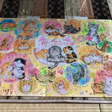 Completed jigsaw puzzle - Cat