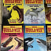 WHO WOULD WIN? Books Series by Jerry Pallotta Scholastic Lot of 20 RL3 animals *