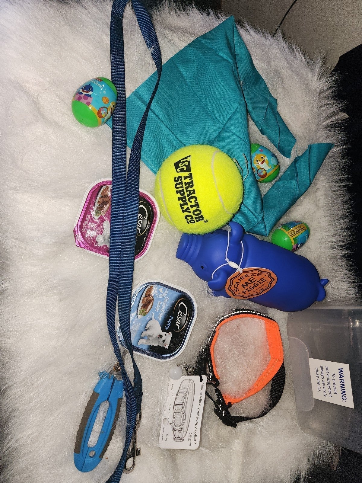 Easter Basket for your Dog Harness treats toysLook at all the pictures i posted