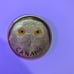 Canada 250 Snowy Owl Coin