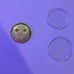 Canada 250 Snowy Owl Coin