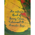 Bath & Body Works Cedar & Sage Gentle Foaming Hand Wash 8.75 fl oz. Lot 2 NEW