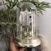 Vintage Elgin Anniversary Mantel Quartz Clock w/Glass Dome & Rotating Pendulum