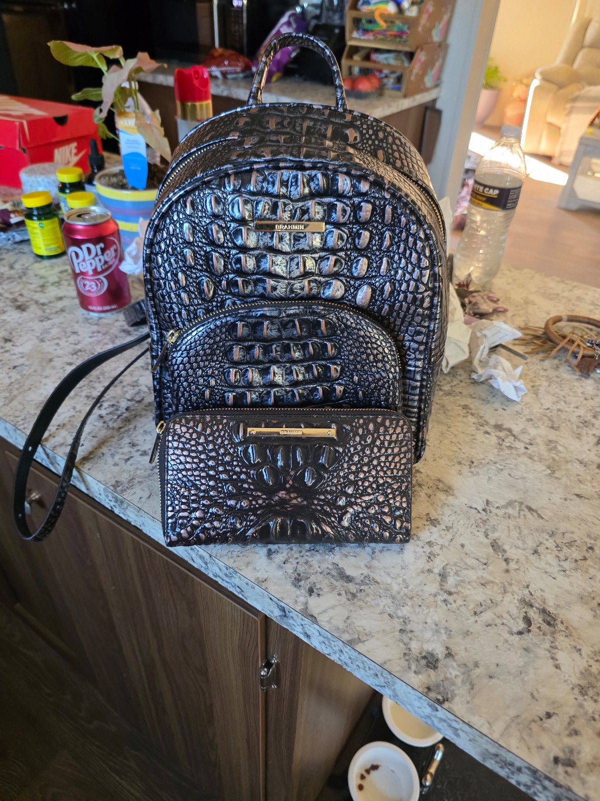 Brahmin backpack purse and wallet set