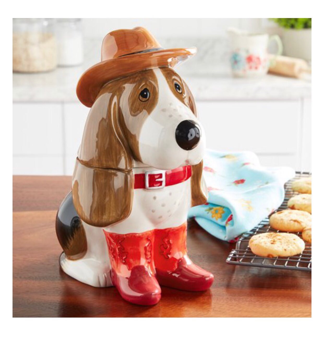 New Pioneer Woman Charlie Cookie