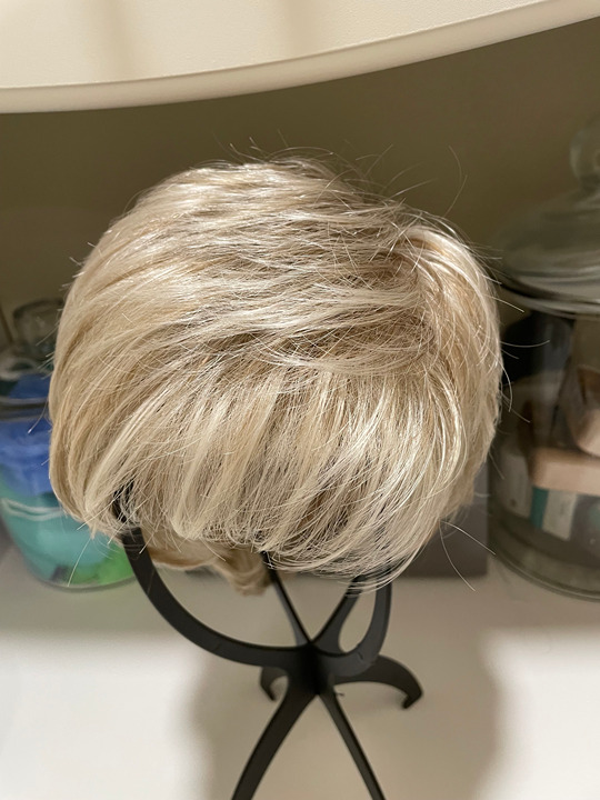 WINNER Petite Wig by Raquel Welch