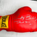 Timothy Bradley signed Everlast boxing glove