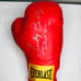 Timothy Bradley signed Everlast boxing glove