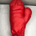 Timothy Bradley signed Everlast boxing glove