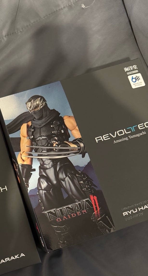 Amazing yamaguchi Ryu Hayabusa