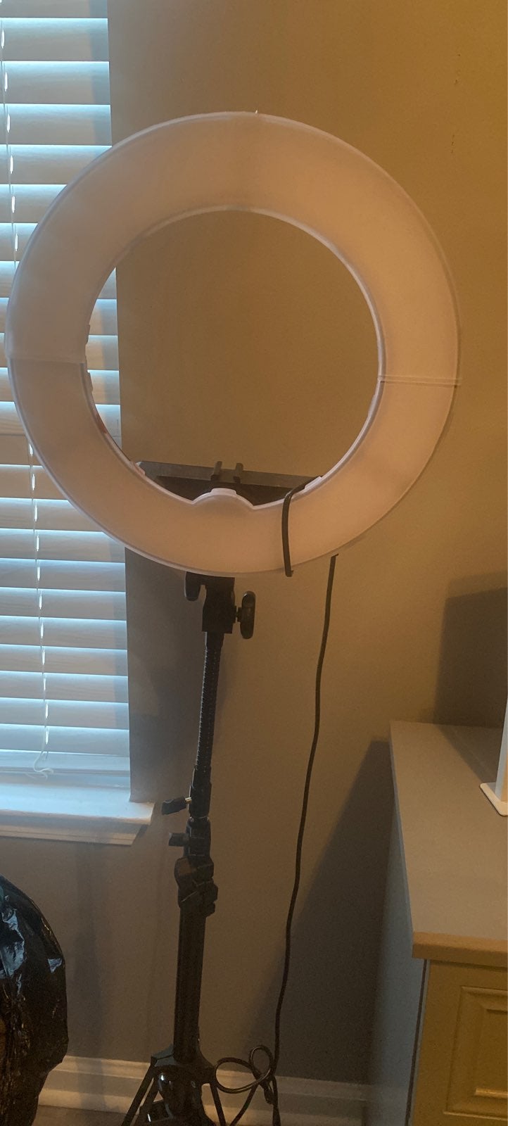 Stand ring light