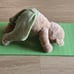 AHIMSA DAVIQU Yoga bear with pants, with yoga mat and a bag to store it 15