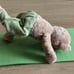 AHIMSA DAVIQU Yoga bear with pants, with yoga mat and a bag to store it 15