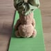 AHIMSA DAVIQU Yoga bear with pants, with yoga mat and a bag to store it 15