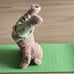 AHIMSA DAVIQU Yoga bear with pants, with yoga mat and a bag to store it 15