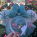 RARE Frozen ELSA DISNEY Minnie MOUSE Ears