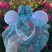 RARE Frozen ELSA DISNEY Minnie MOUSE Ears
