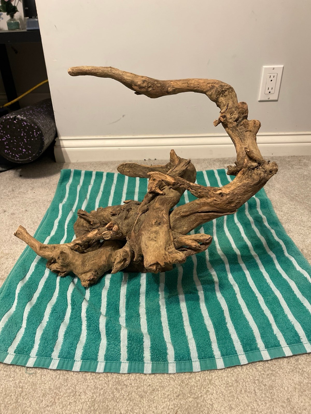 Drift wood
