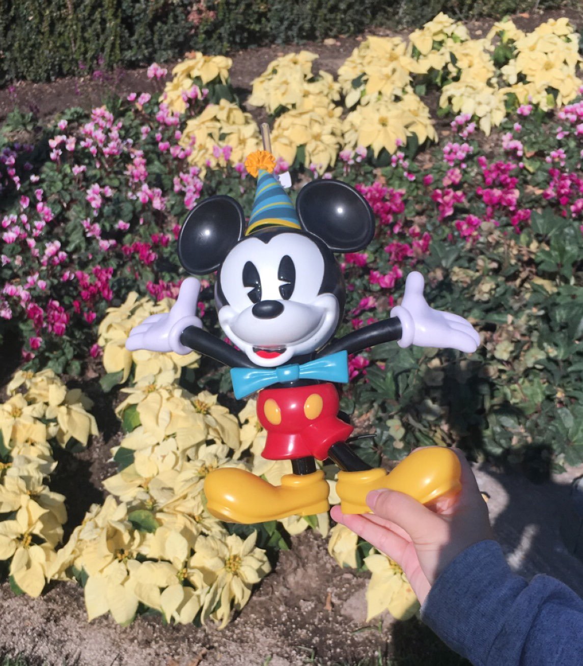MICKEY MOUSE 90th Birthday Sipper