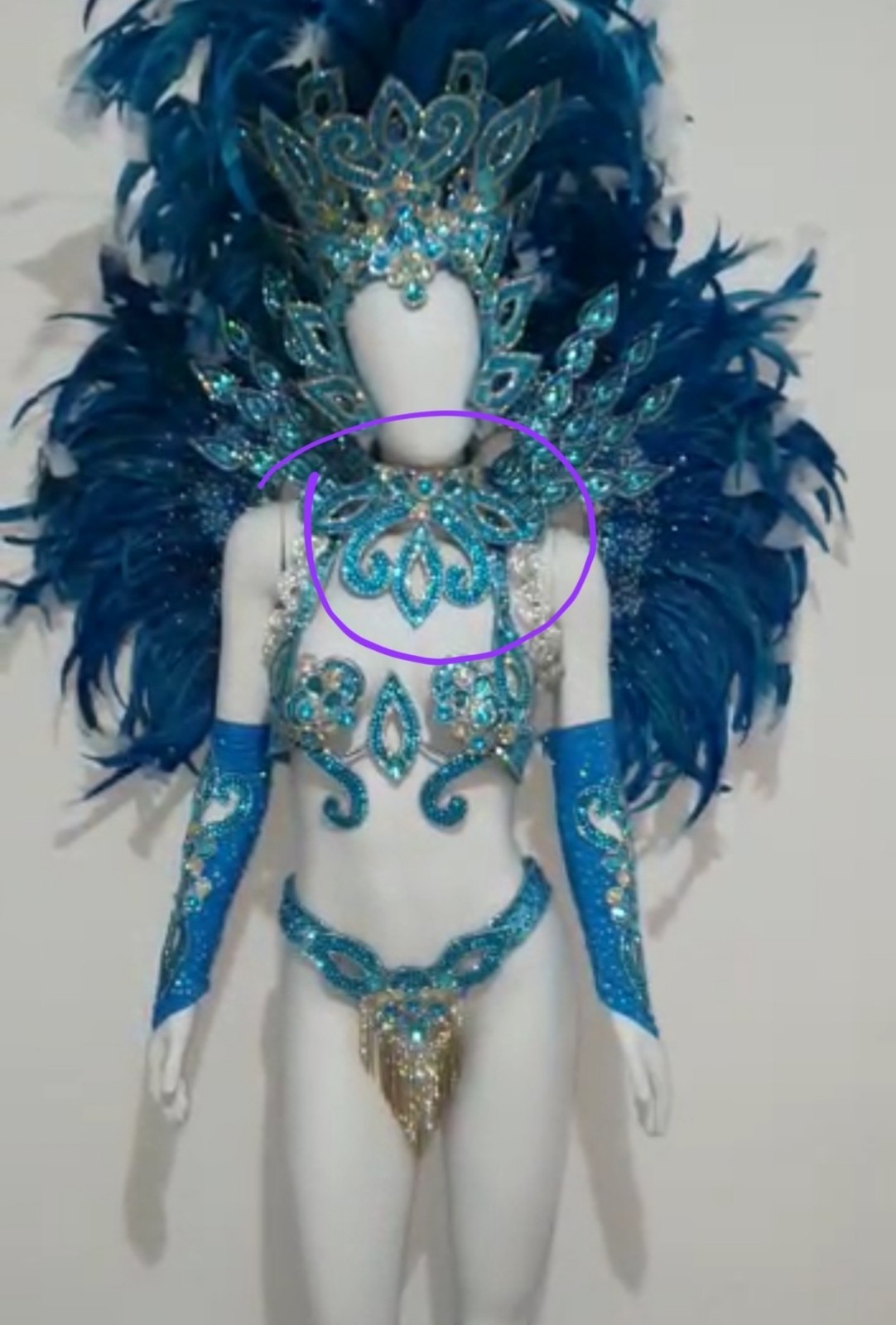 Authentic Brazilian carnival