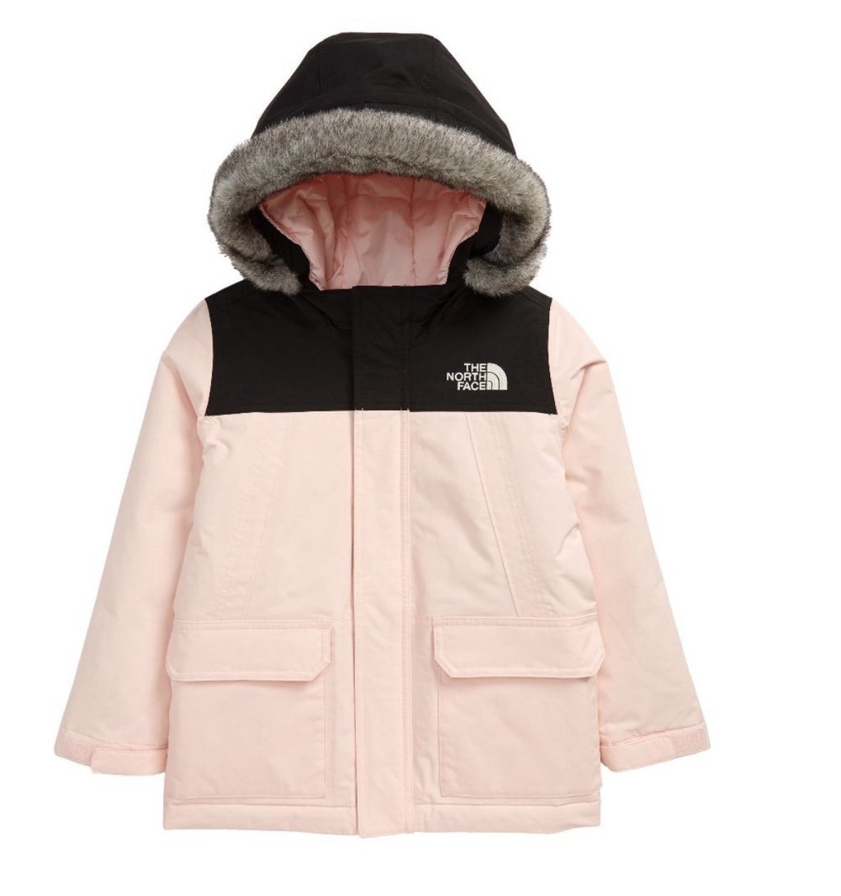2T North Face Parka