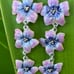 Vintage Sterling Silver Pink Purple Enamel Triple flower & Pearl Dangle Earring