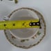 Andrea Sadek Cup & Saucer Porcelain Ceramic Floral Pheasant Bird Vtg-Collectible