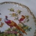 Andrea Sadek Cup & Saucer Porcelain Ceramic Floral Pheasant Bird Vtg-Collectible