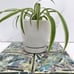 Set of 4 Abstract Ceramic Coasters