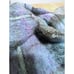 Women 70’s Vintage Scotland Andrew Stewart Mohair Cape Shawl Tartan Nice Colors