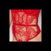 NWT Victoria’s Secret Teddy