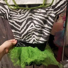 Child's dance costume