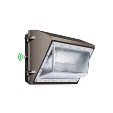 Security Light