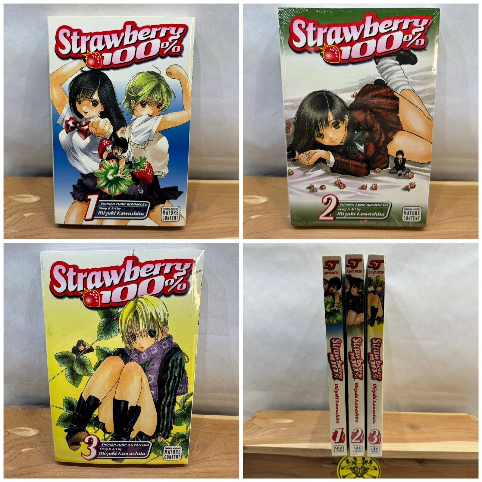 Strawberry 100%, Vol 1-3 Manga English Graphic Novel Trade Paperback