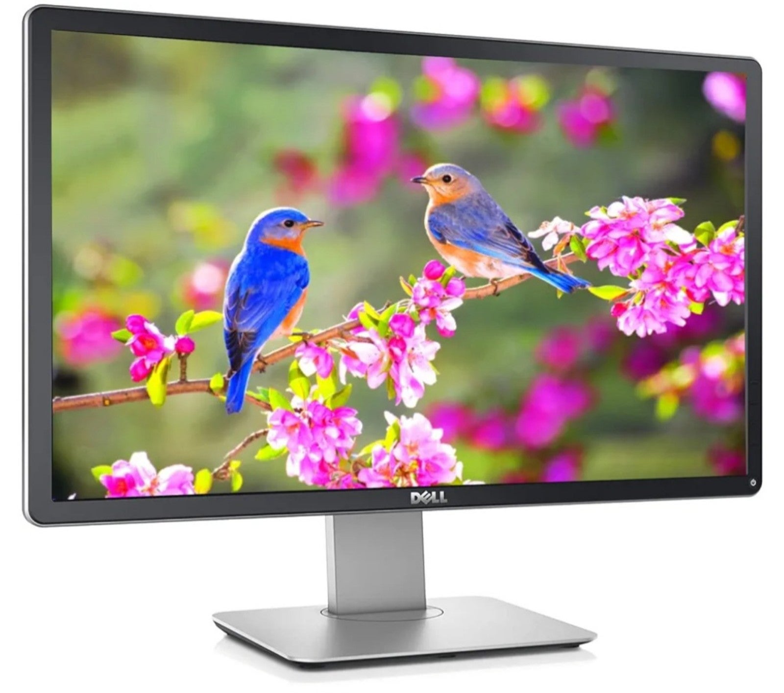 HD Computer Monitor Flat Screen Dell