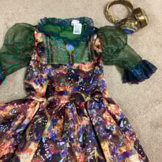 costume Disney Descendants Dizzy girls 8-10