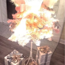 Pink Glam Barbie tree 4’ wings dress lady store front tree! Prelit
