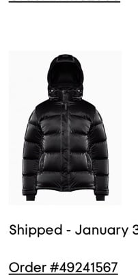 ARITZIA SUPER PUFF LIQUID SHINE