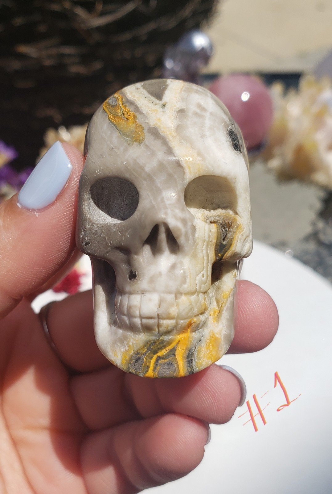 Bumble Bee Jasper Skull, Crystal Skull, Bumble Bee
