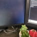 HP 24 LCD monitor with arm