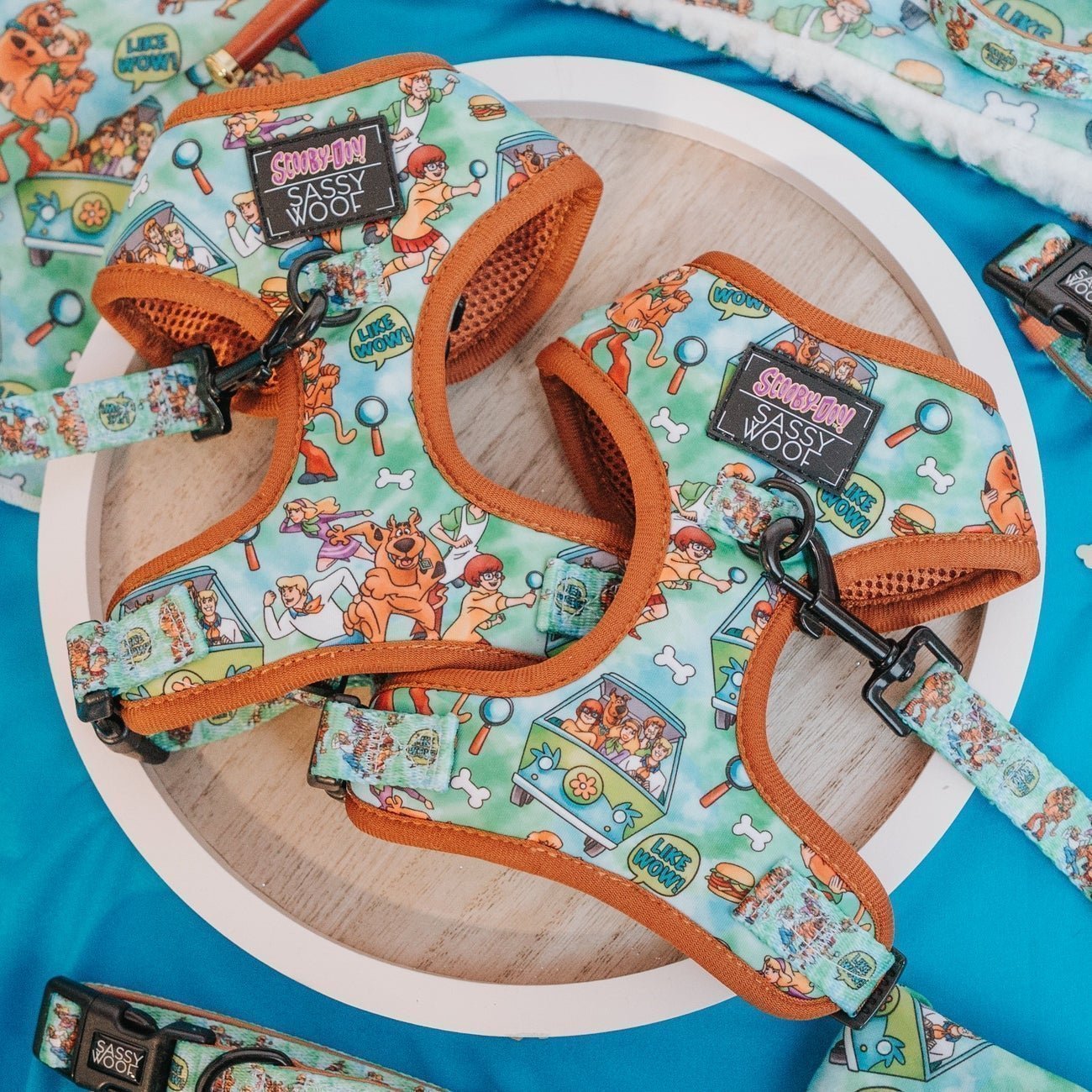 Scooby Doo Harness Free Shipping