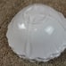 Soho Loft Blue White Flower Floral Scalloped Melamine 8 Soup Bowl Set of 4 NWT