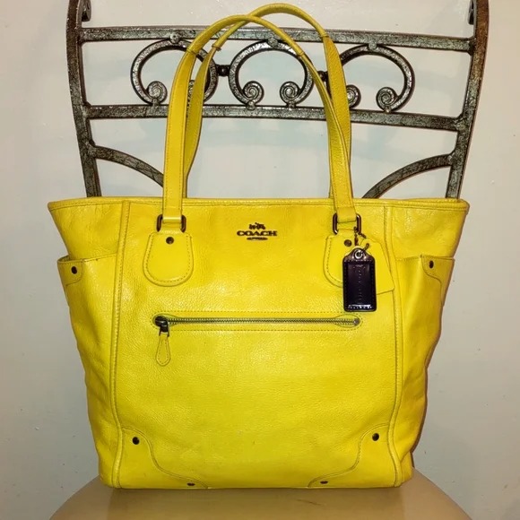 COACH Mickie Leather Satchel (F34039)