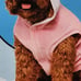 dog hoodie