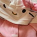 dog hoodie