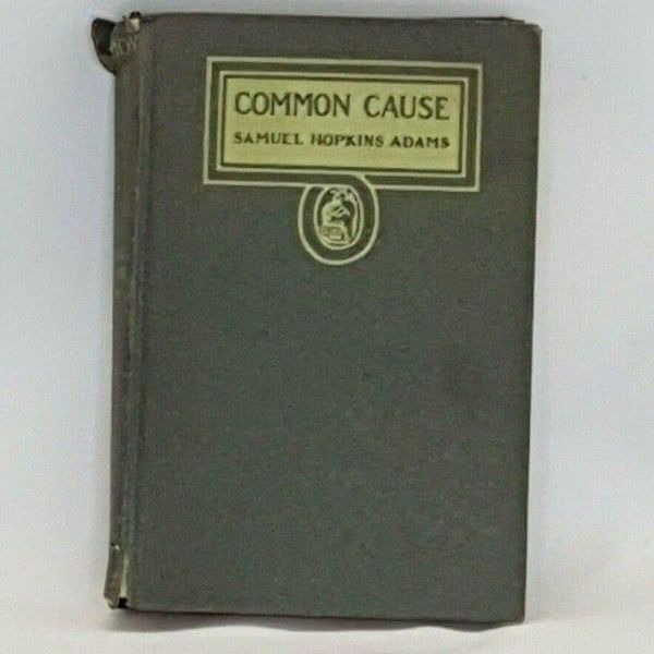 Common Cause Novel of War in America