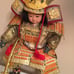 Samurai Warrior