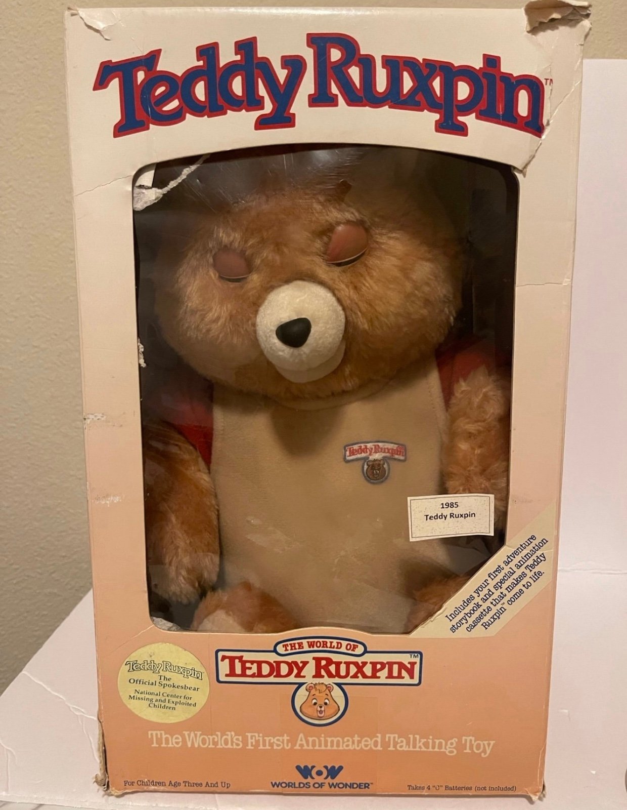 Teddy