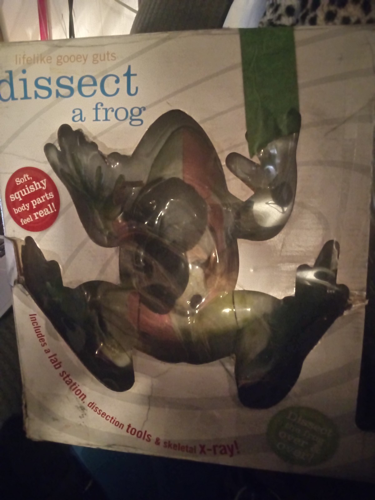 Disectible a frog