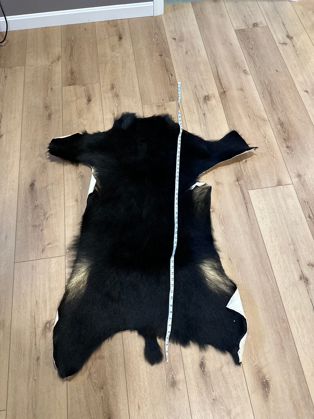 Black bear skin rug REAL Maine Black Bear